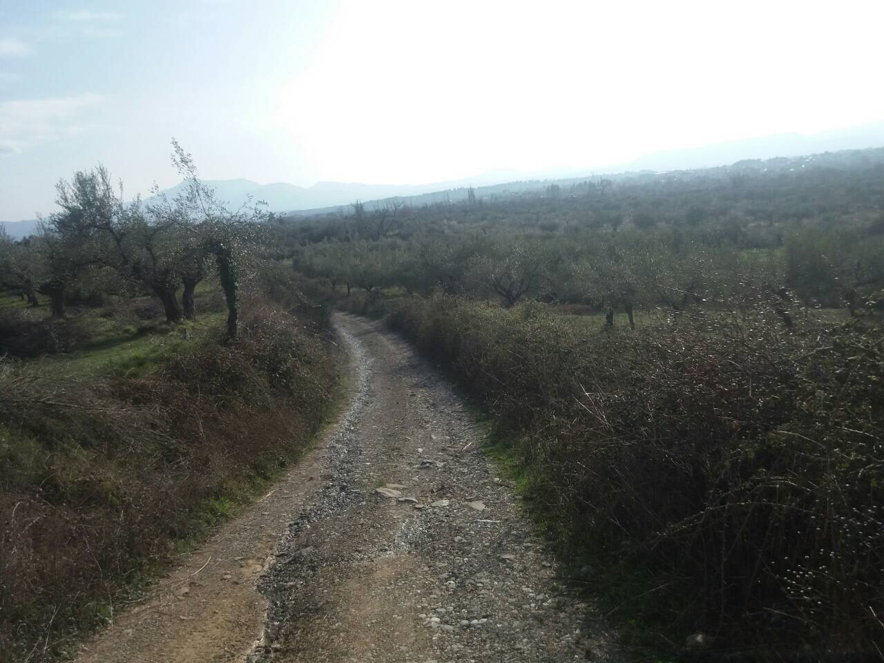 Photo 1 3 18 4 16 08 μμ
