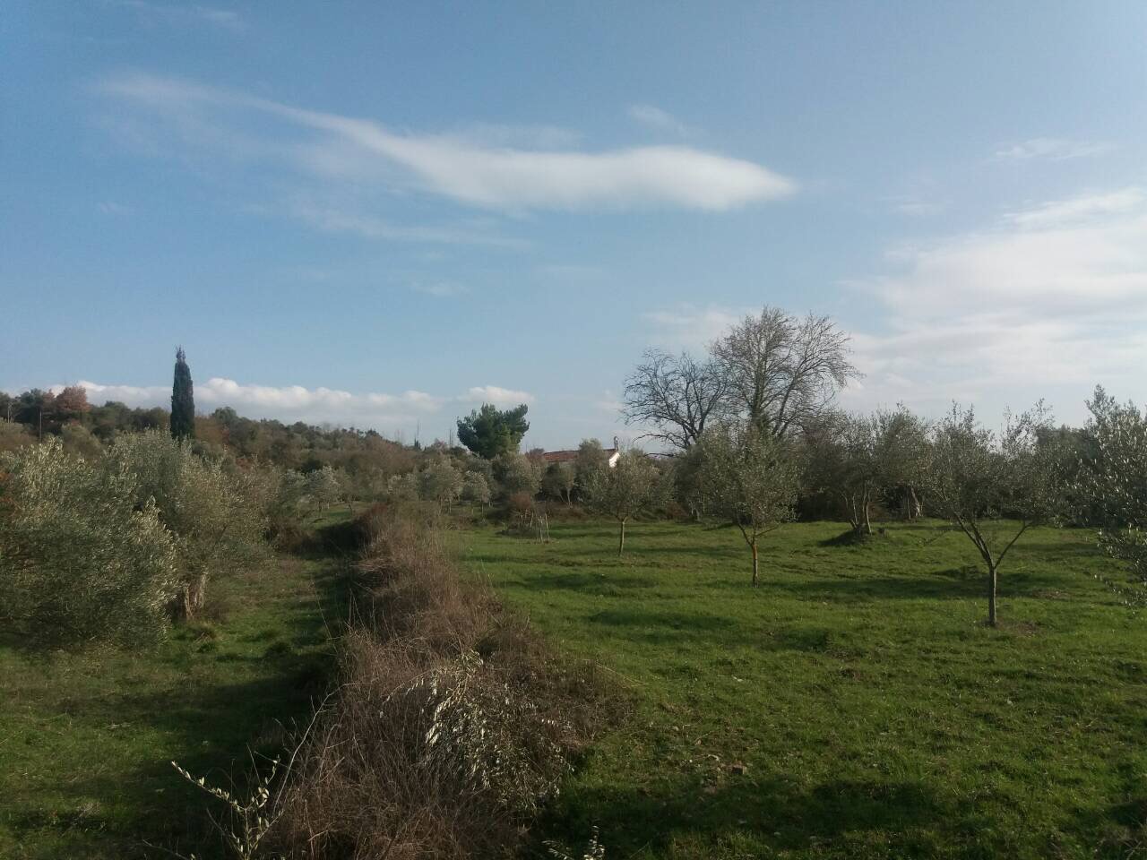 Photo 1 3 18 4 21 25 μμ