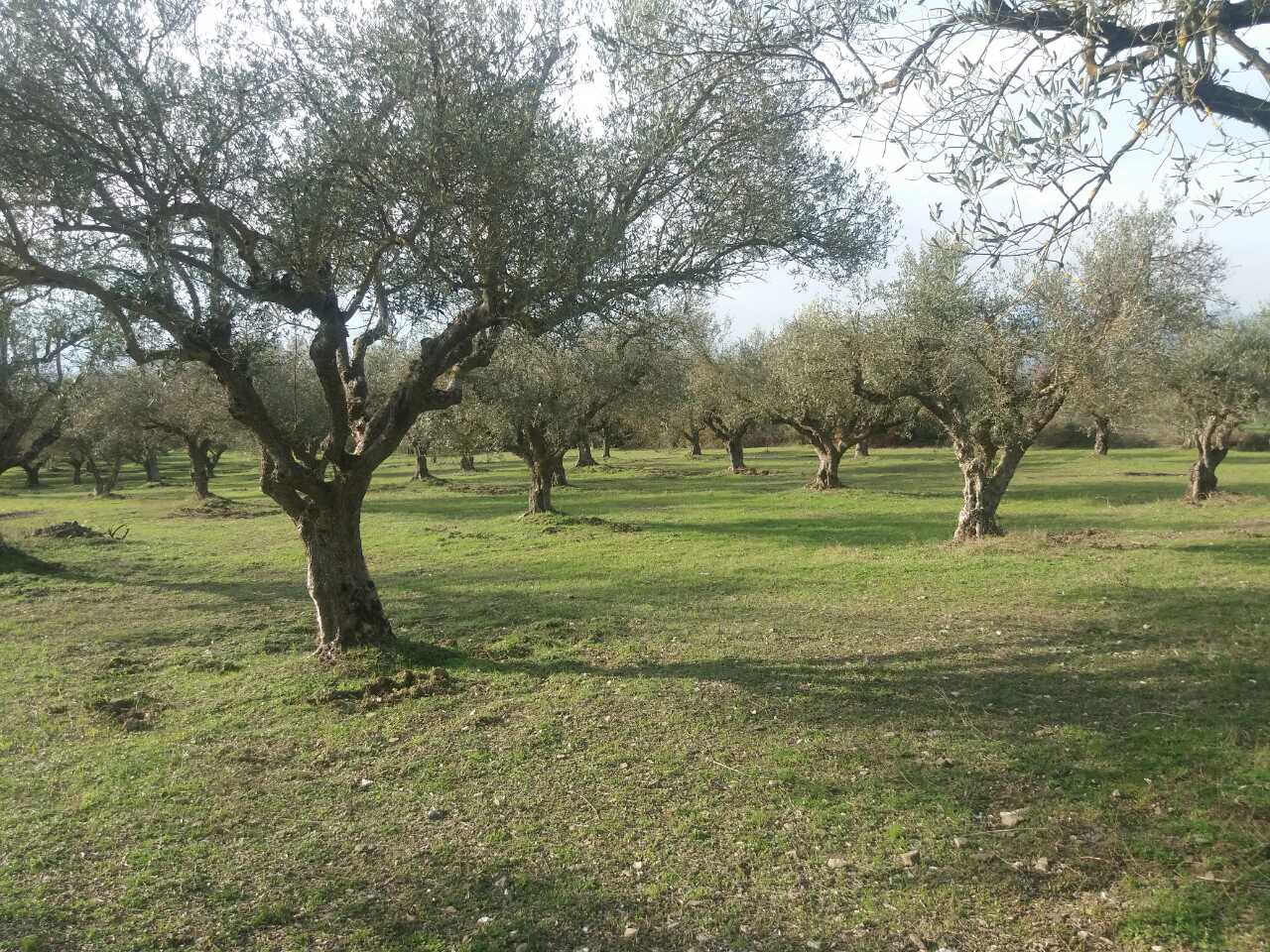 Photo 1 3 18 4 27 02 μμ